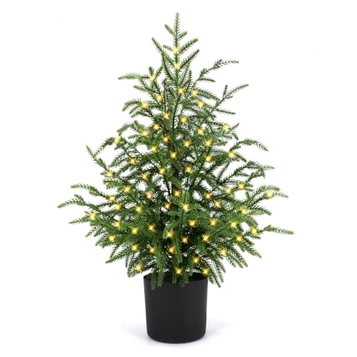2FT ENVEN Norfolk Pine Christmas Tree - Prelit 30 LEDs, 8-Mode Battery Box, 1 Pack (2ft-1 Pack)