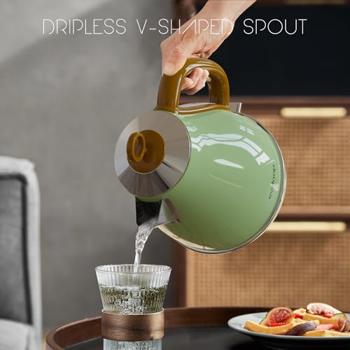 Evoloop 1.7L Electric Kettles, BPA Free Tea Kettle, Hot Water Boiler