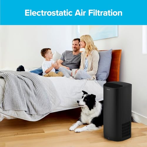 Filtrete True HEPA Air Purifier Filter 13x8.2 Inches 2-Pack for Cleaner Indoor Air