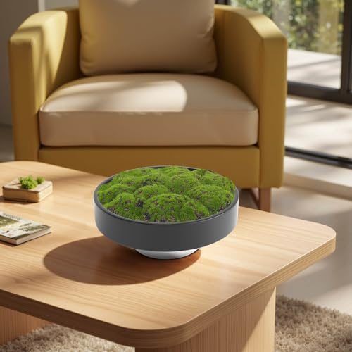 NAHARO Handmade Ceramic Moss Bowl - Black 11-Inch Artificial Plant Centerpiece