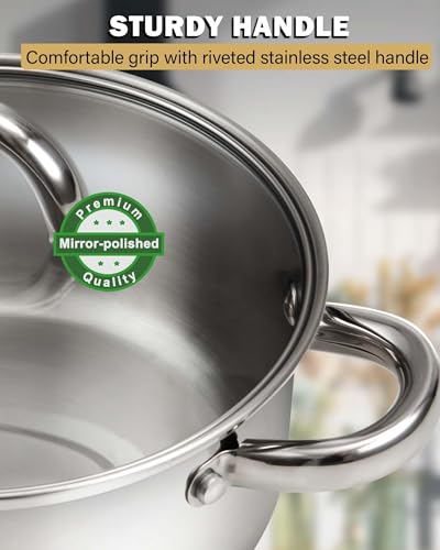 16 Quart Stainless Steel Stock Pot with Lid - Large Cooking Pot for Soup & Pasta, Silver Variation