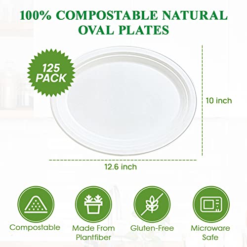 Vplus 12 Inch Compostable Oval Paper Plates 125 Pack White - Eco-Friendly Disposable Dinnerware