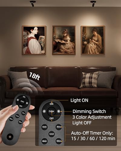 Black Rechargeable LED Picture Spotlight with Remote, Dimmable & Timer - 4-Pack