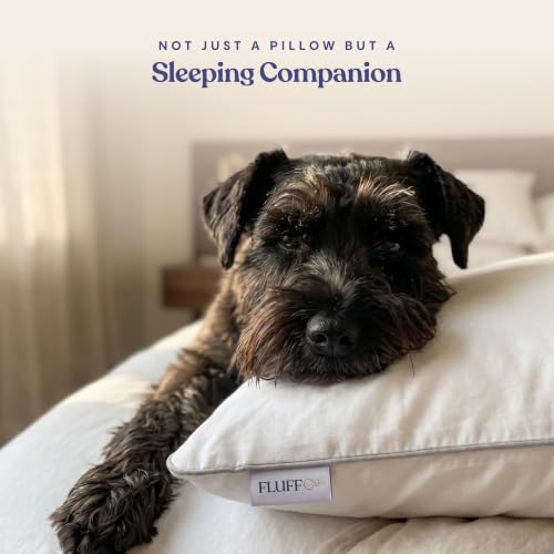 King Size Down Alternative Pillows 2-Pack - Soft, Hotel-Quality Comfort, Vegan Microfiber