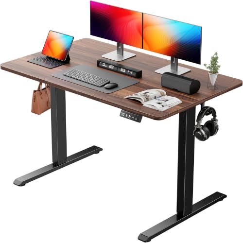NEXT BEAUTY Standing Electric Desk 48x24in Adjustable Height Office Gaming Table with Memory