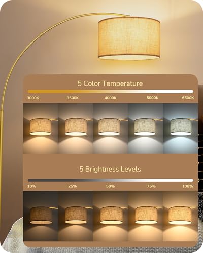 Modern Gold Arched Floor Lamp with Remote Control - 78.3 Inches