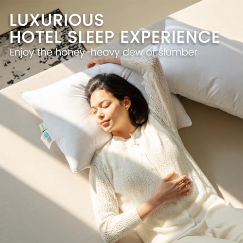 Alanzimo Queen Size Goose Feather Down Pillows Set of 2 20x28 Hotel Collection