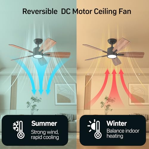 TALOYA 42 Inch Black Ceiling Fan with Lights Remote Control Dimmable Reversible DC Motor
