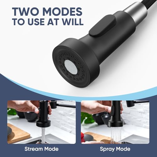 Black Kitchen Faucet with Pull Down Sprayer & High Arc Spout - Matte Black / Classic