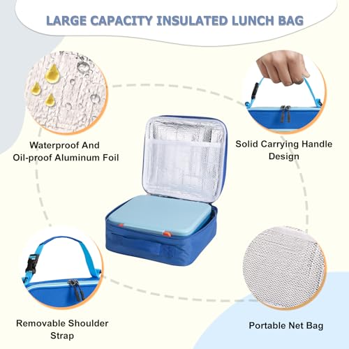 PIQUEBAR Blue Bento Lunch Box for Kids with 8oz Soup Thermos & Leak-Proof Container