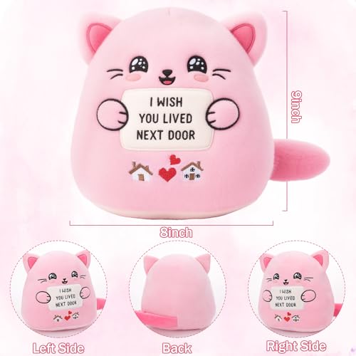 Friendship Plush Cat Stuffed Animal for Women Bestie Birthday Gift for Sister Girlfriend I Wish You Lived Next Door Plush Toy Pillow 9 Inch