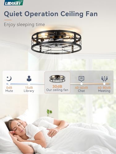 LEDIARY 20" Black Caged Low Profile Ceiling Fan with Light and Remote