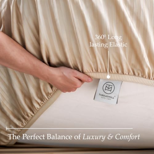 Light Beige Damask 600TC Cotton King Sheet Set - Sateen Bed Linens