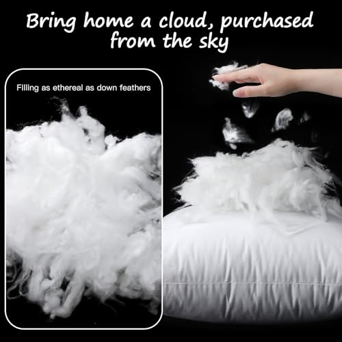 Artscope White 24x24 Inch Synthetic Down Pillow Insert Set of 2 - Fluffy Cloud Feel
