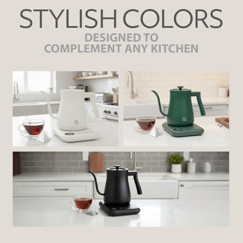 WILLOW ECO SERIES 0.8L Black Gooseneck Electric Kettle with 5 Temp Presets & Keep Warm