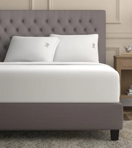 Down-Alternative Sleep Pillow Set with Tencel Cover - 2 Pack, 18x26 inches