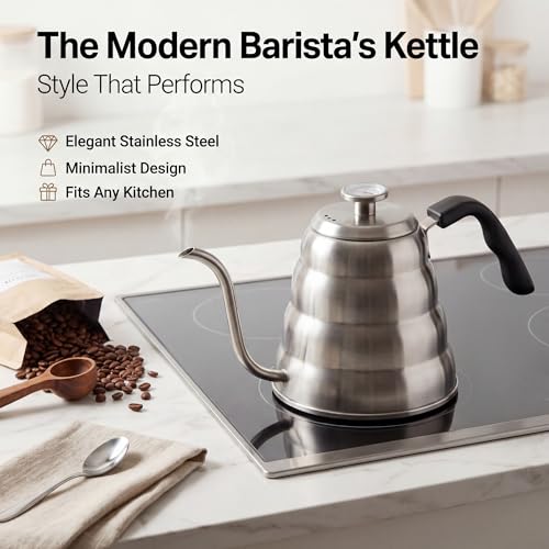 Silver 1.2L Gooseneck Kettle for Pour Over Coffee - Precise Temperature Control