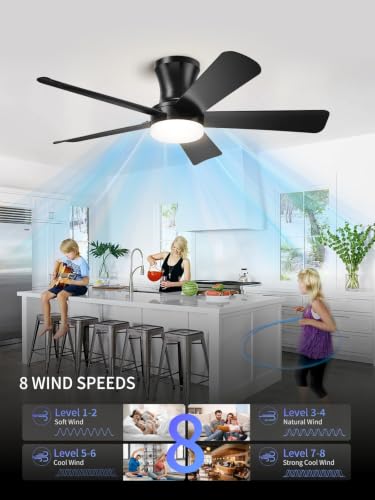 Black 42 Inch Low Profile Ceiling Fan with Light Remote Control