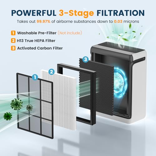 White Original Filter 2 Pack for Vital 200S Air Purifier - HEPA & Activated Carbon