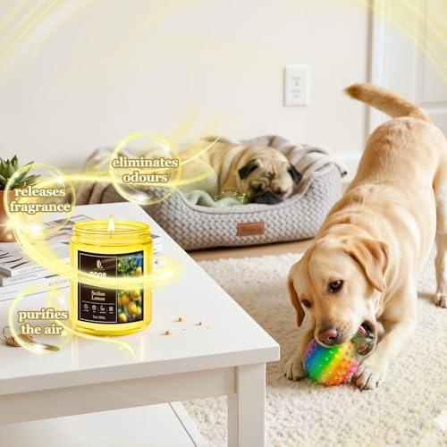 Lemon/Mint Eucalyptus/Coconut/Roses Soy Candle Set - 28oz Odor Eliminating Fragrance