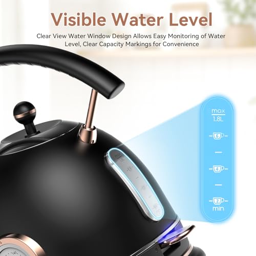 Rasonic Retro Electric Kettle 1.8L Stainless Steel Black, Fast Quiet Boil, Temperature Gauge