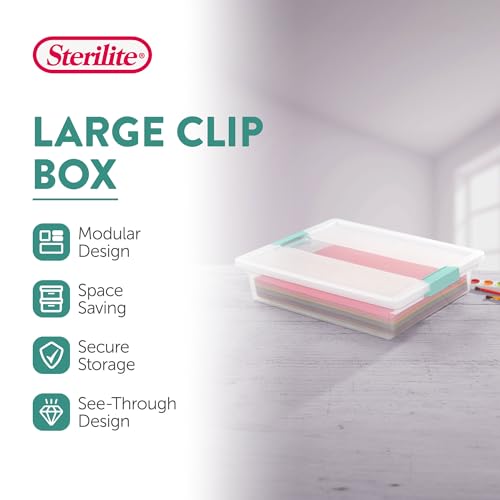 Stackable Clear Plastic Storage Bins - Large, 12-Pack - Secure & Lightweight