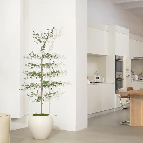 6ft Artificial Black Olive Tree with Natural Trunk - Realistic Foliage, Shaping Allowed