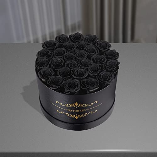 Black Preserved Roses in Elegant Gift Box - 27 Long-Lasting Flowers for Women