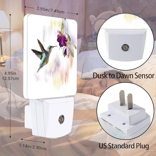Groovy Hummingbird Flowers Dusk to Dawn Night Light, Auto Sensor Lamp Home Indoor Stairway Kitchen Corridor, Night Lights Plug into Wall Decor, Boys Girls Women Men Room Gifts