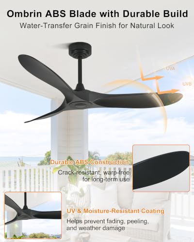 Ombrin 52-Inch Black Ceiling Fan with Remote & App Control, Reversible DC Motor for Indoor & Outdoor Use