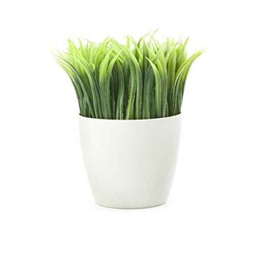 Kikkerland Potted Pen Stand (SC24)