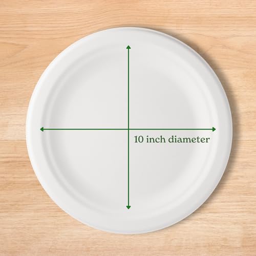 Disposabe Bamboo Paper Plates 125 Pack - 10 Inch Eco-Friendly, Biodegradable Party Tableware