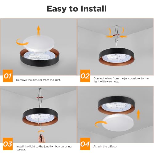 Matte Black 2-Pack Flush Mount LED Ceiling Lights - Dimmable 13in 3000K Daylight, Energy-Efficient Modern Lamp