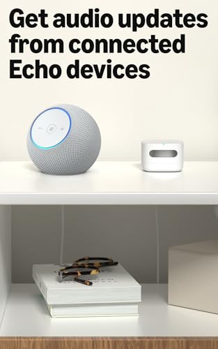 Smart Air Quality Monitor 1-Pack - Detects Temperature, Humidity, CO, PM2.5 & VOCs with Alexa Compatibility