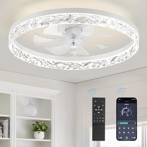 20 Inch Ceiling Fan with Lights and Remote Control - Reversible Motor, Dimmable, White, Variation of THIS listing