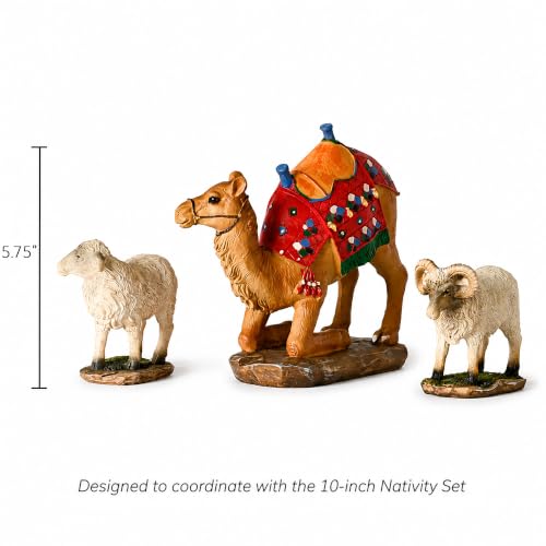 3 Kings Gifts Kneeling Camel & Awassi Sheep Nativity Set - 10 Inch Realistic Figures