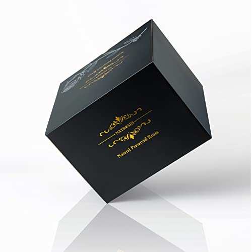 Black Preserved Roses in Elegant Gift Box - 27 Long-Lasting Flowers for Women