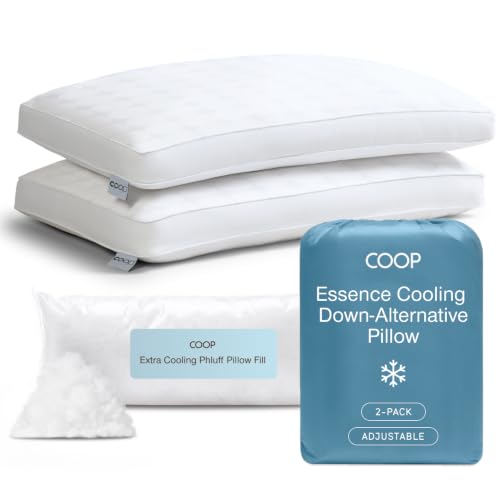 Coop Home Goods Essence Cooling Queen Adjustable Down Alternative Pillow Set of 2 - Classic Variant