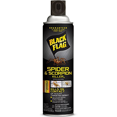 12 Pack Black Flag Spider and Scorpion Killer Aerosol Spray - 16 Ounces