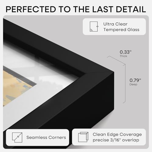 Homeforia 18x24 Black Metal Poster Frame with Glass & 16x20 Mat