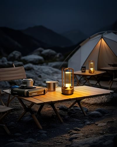 Jinchangming Gold-2 Set of 2 Rechargeable Cordless LED Table Lamps Touch Dimmable