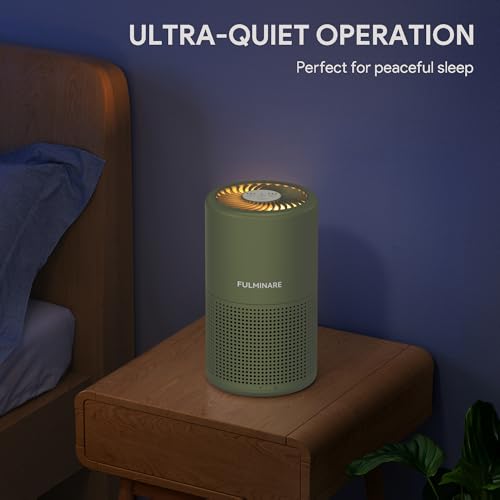 FULMINARE Sage Green HEPA Air Purifier for Bedroom & Home, 1 Pack