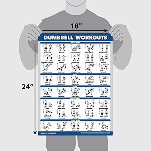Palace Learning Dumbbell Workout Poster - Laminated Home Gym Guide | 18" x 24" Size