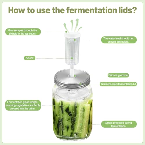 Klemon B Fermentation Kit for Wide Mouth Mason Jars - 25pcs with Stainless Steel Lids & Weights