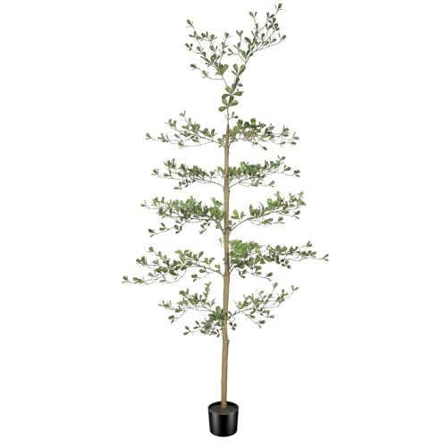 6ft Artificial Black Olive Tree with Natural Trunk - Realistic Foliage, Shaping Allowed