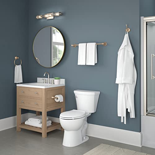 Delta Single Post Toilet Paper Holder Wall Mount Champagne Bronze 8.43x2.49 Inches
