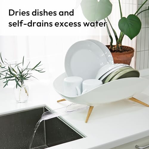 carrotez Self-Draining Dish Drying Rack, White - Wide