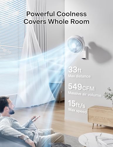 Pelonis 12-Inch Indoor Oscillating Wall Mount Fan with Remote - White, 1 Pack