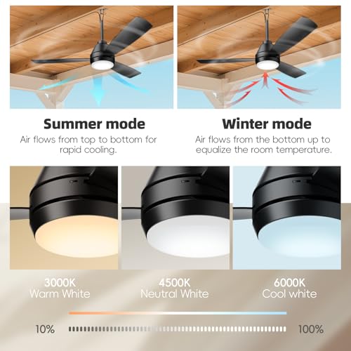 Black 42-inch Outdoor Ceiling Fan with Lights, Remote & App Control
