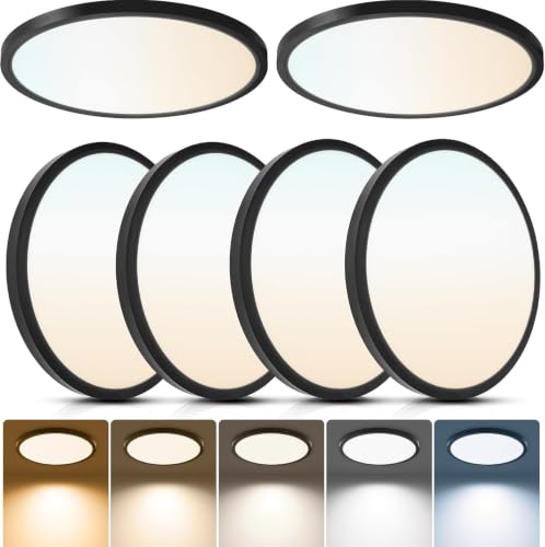 Black 12-inch Ultra-Thin Dimmable LED Ceiling Light, 5CCT, Flush Mount